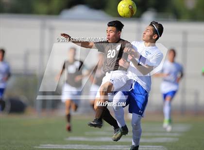 Thumbnail 1 in Kennedy vs. Poly photogallery.