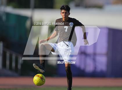 Thumbnail 1 in Kennedy vs. Poly photogallery.