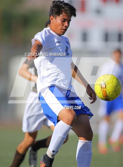 Thumbnail 3 in Kennedy vs. Poly photogallery.