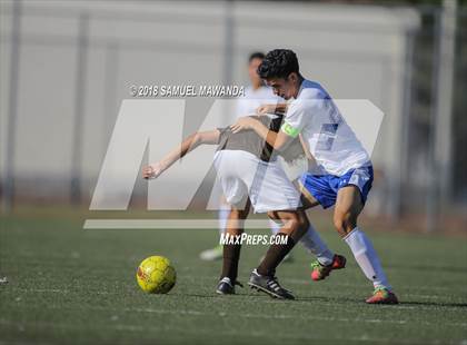 Thumbnail 1 in Kennedy vs. Poly photogallery.