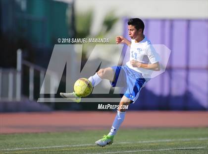 Thumbnail 3 in Kennedy vs. Poly photogallery.