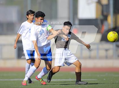 Thumbnail 1 in Kennedy vs. Poly photogallery.