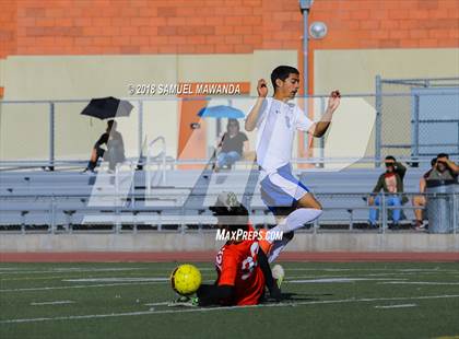 Thumbnail 3 in Kennedy vs. Poly photogallery.