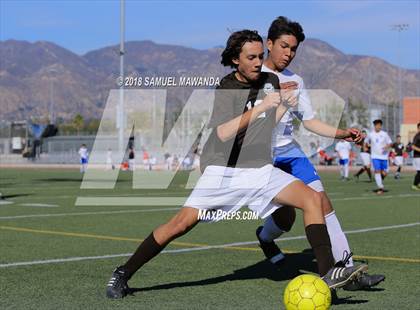 Thumbnail 1 in Kennedy vs. Poly photogallery.