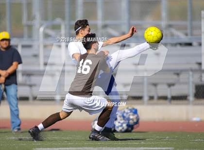 Thumbnail 2 in Kennedy vs. Poly photogallery.