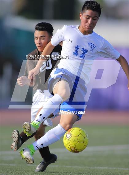 Thumbnail 1 in Kennedy vs. Poly photogallery.