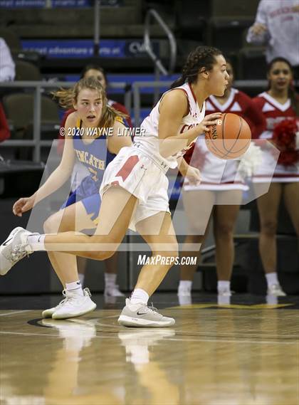 Thumbnail 3 in Newport Central Catholic vs Dixie (ninth region tournament) photogallery.