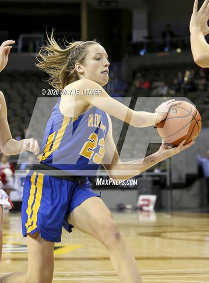 Thumbnail 3 in Newport Central Catholic vs Dixie (ninth region tournament) photogallery.