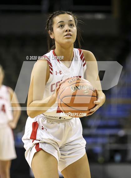 Thumbnail 1 in Newport Central Catholic vs Dixie (ninth region tournament) photogallery.