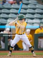 Photo from the gallery "Altoona vs. Forest Hills"