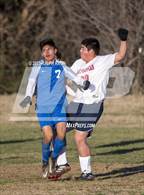 Photo from the gallery "Las Plumas @ Orland"