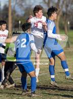 Photo from the gallery "Las Plumas @ Orland"