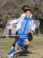 Photo from the gallery "Las Plumas @ Orland"