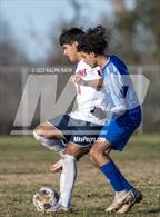 Photo from the gallery "Las Plumas @ Orland"