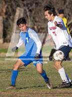 Photo from the gallery "Las Plumas @ Orland"