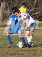 Photo from the gallery "Las Plumas @ Orland"