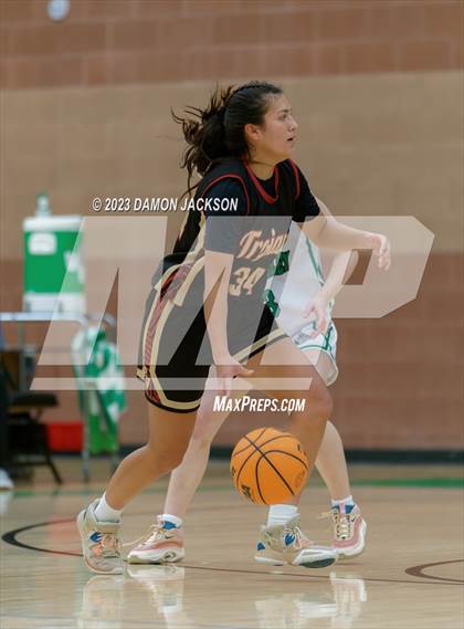 Thumbnail 3 in Pahrump Valley @ Virgin Valley photogallery.
