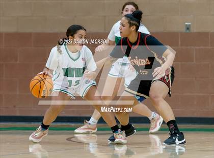 Thumbnail 2 in Pahrump Valley @ Virgin Valley photogallery.
