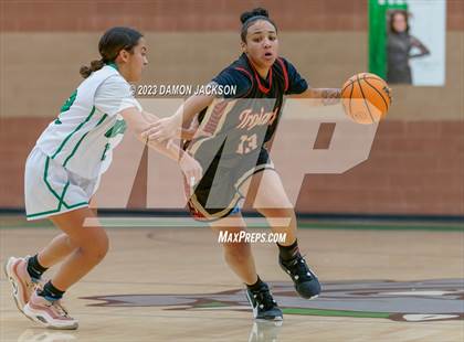 Thumbnail 2 in Pahrump Valley @ Virgin Valley photogallery.