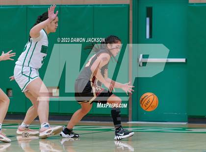 Thumbnail 3 in Pahrump Valley @ Virgin Valley photogallery.