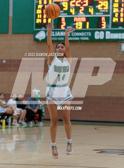Thumbnail 3 in Pahrump Valley @ Virgin Valley photogallery.