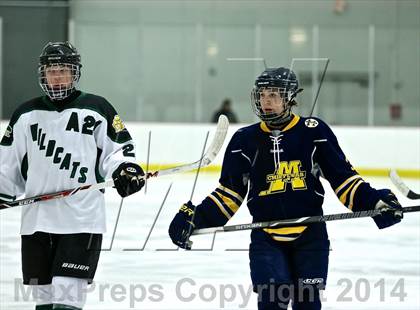 Thumbnail 2 in Manistee @ Jenison photogallery.