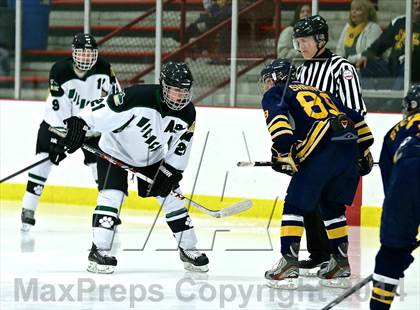 Thumbnail 3 in Manistee @ Jenison photogallery.