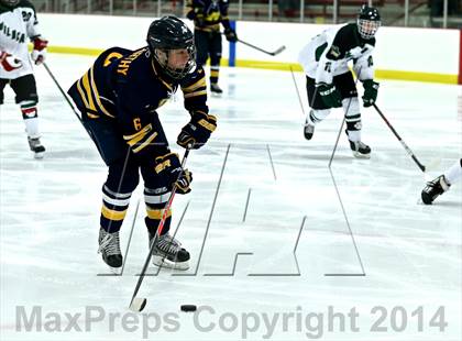Thumbnail 2 in Manistee @ Jenison photogallery.