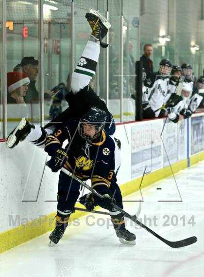 Thumbnail 3 in Manistee @ Jenison photogallery.