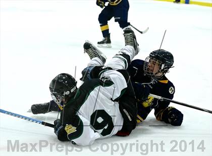 Thumbnail 3 in Manistee @ Jenison photogallery.