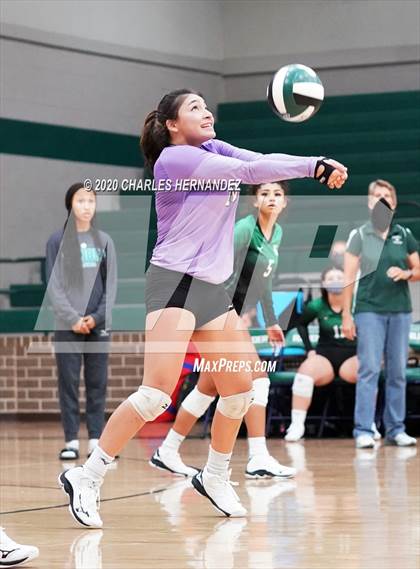 Thumbnail 3 in Ellison @ Rudder photogallery.