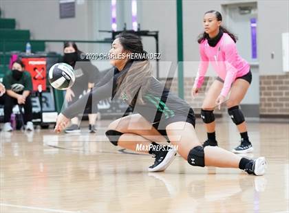 Thumbnail 3 in Ellison @ Rudder photogallery.