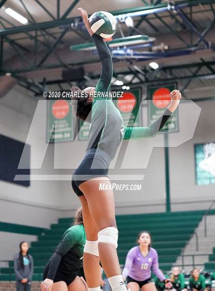 Thumbnail 2 in Ellison @ Rudder photogallery.