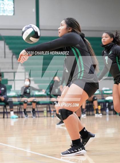 Thumbnail 1 in Ellison @ Rudder photogallery.