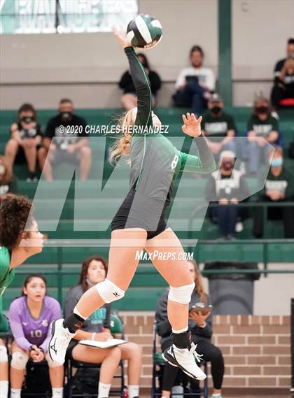 Thumbnail 1 in Ellison @ Rudder photogallery.