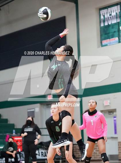 Thumbnail 1 in Ellison @ Rudder photogallery.