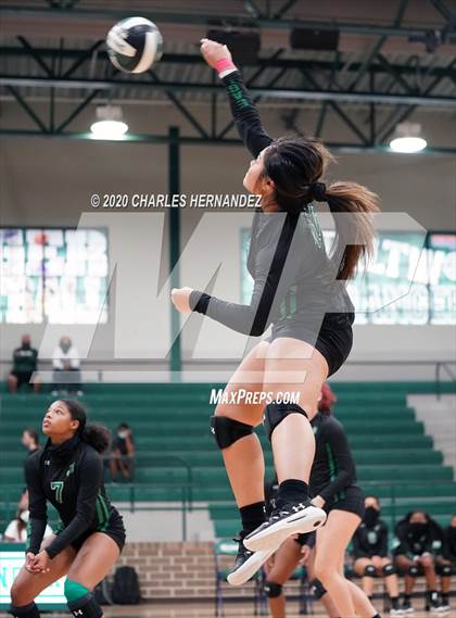 Thumbnail 1 in Ellison @ Rudder photogallery.