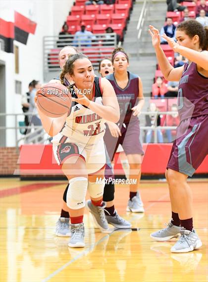 Thumbnail 3 in Brownwood @ Mineral Wells photogallery.