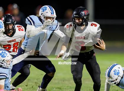 Thumbnail 1 in Triad @ Jersey photogallery.
