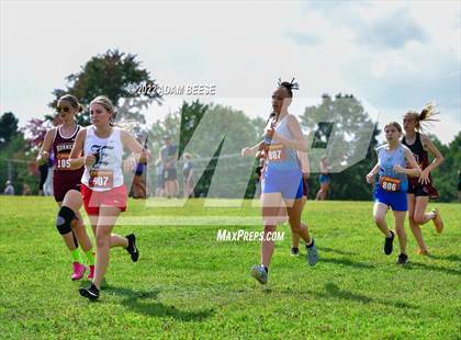 Thumbnail 1 in 2022 Galion Cross Country Festival  photogallery.