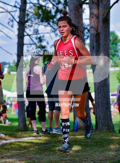 Thumbnail 1 in 2022 Galion Cross Country Festival  photogallery.