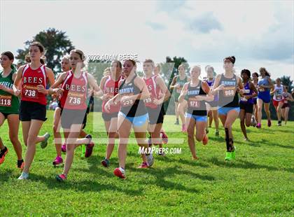 Thumbnail 1 in 2022 Galion Cross Country Festival  photogallery.