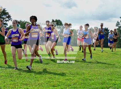 Thumbnail 2 in 2022 Galion Cross Country Festival  photogallery.