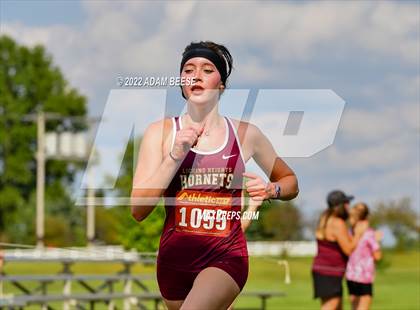Thumbnail 1 in 2022 Galion Cross Country Festival  photogallery.