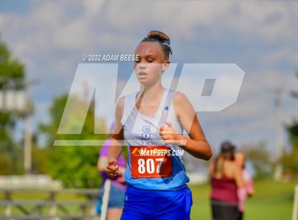 Thumbnail 1 in 2022 Galion Cross Country Festival  photogallery.