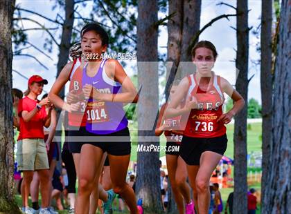 Thumbnail 1 in 2022 Galion Cross Country Festival  photogallery.