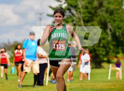 Thumbnail 1 in 2022 Galion Cross Country Festival  photogallery.