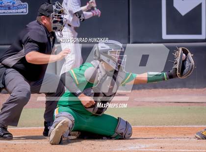 Thumbnail 3 in South Hills vs. Crespi (CIF SS Division 2 Final) photogallery.