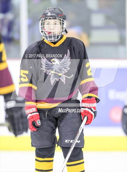 Thumbnail 3 in Eastern CT Eagles @ Redhawks photogallery.