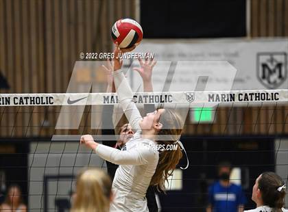 Thumbnail 1 in Redwood @ Marin Catholic photogallery.
